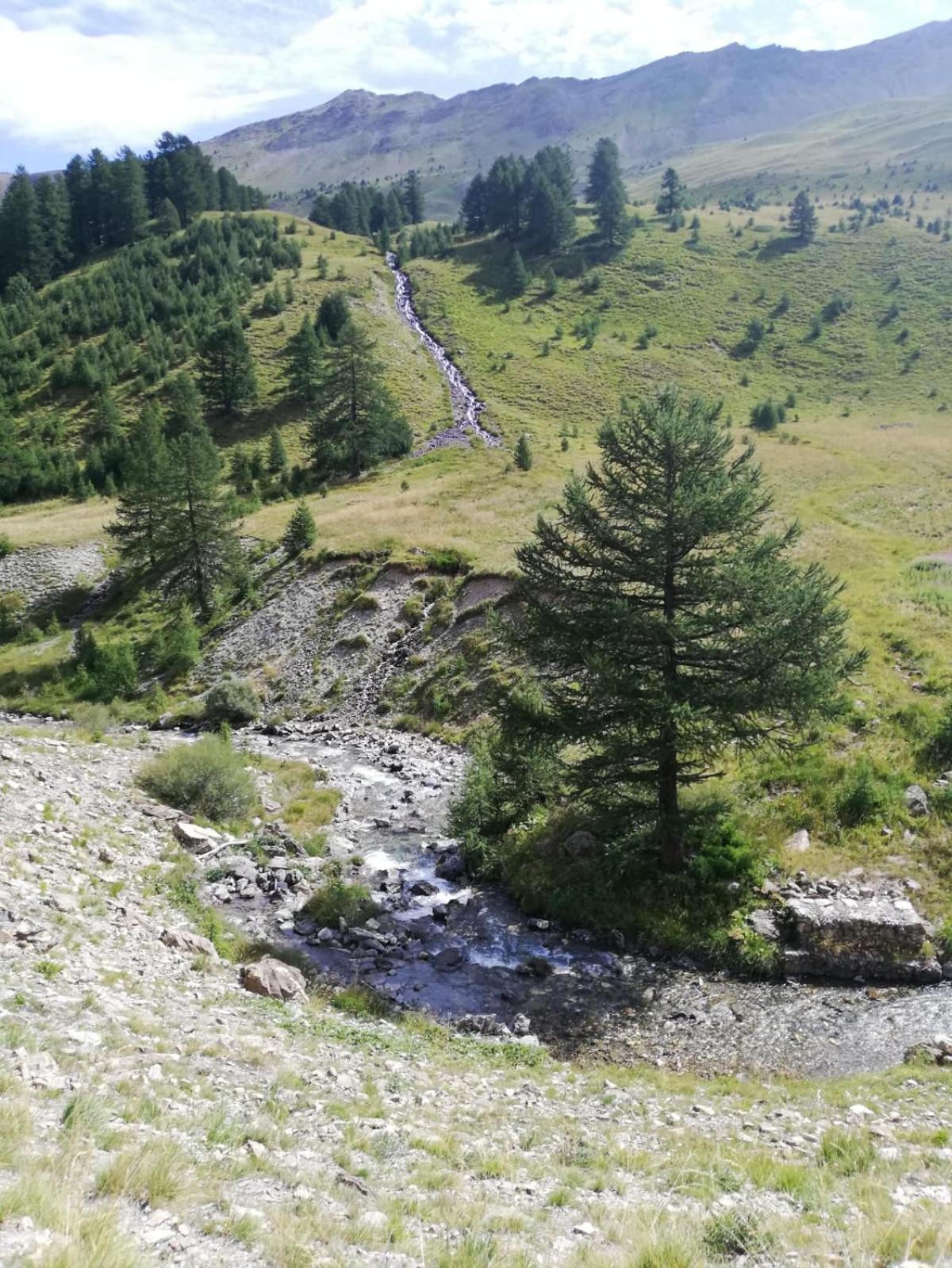 App Vue Montagne Barcelonnette Proche Piscine Rando Riviere Nature Ngoại thất bức ảnh